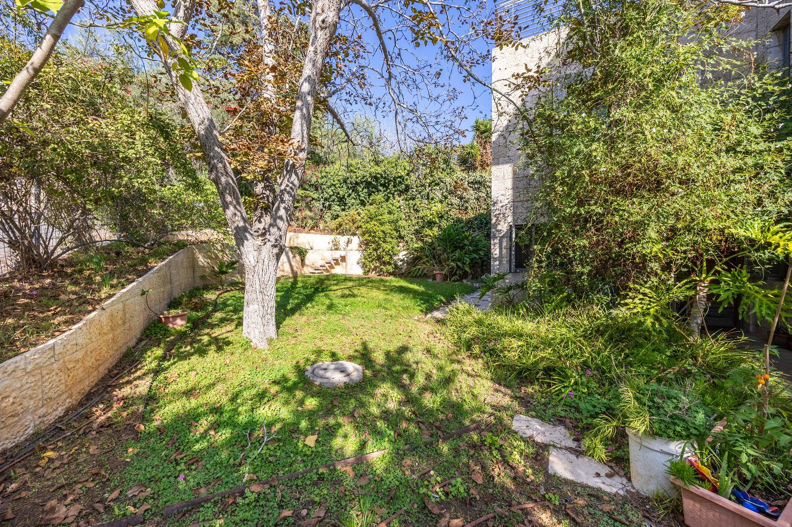 מהסמארטפון שלי